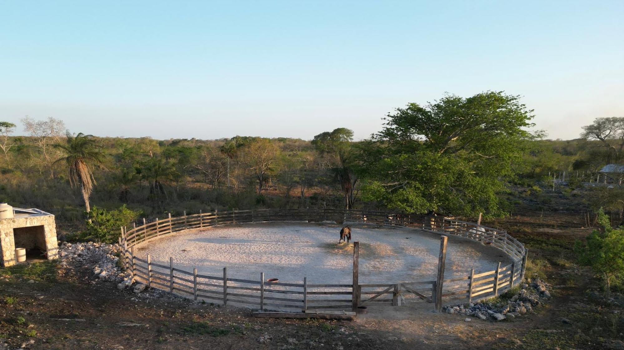 Villa Casitas At Rancho Kuxtal Tizimín Exterior foto