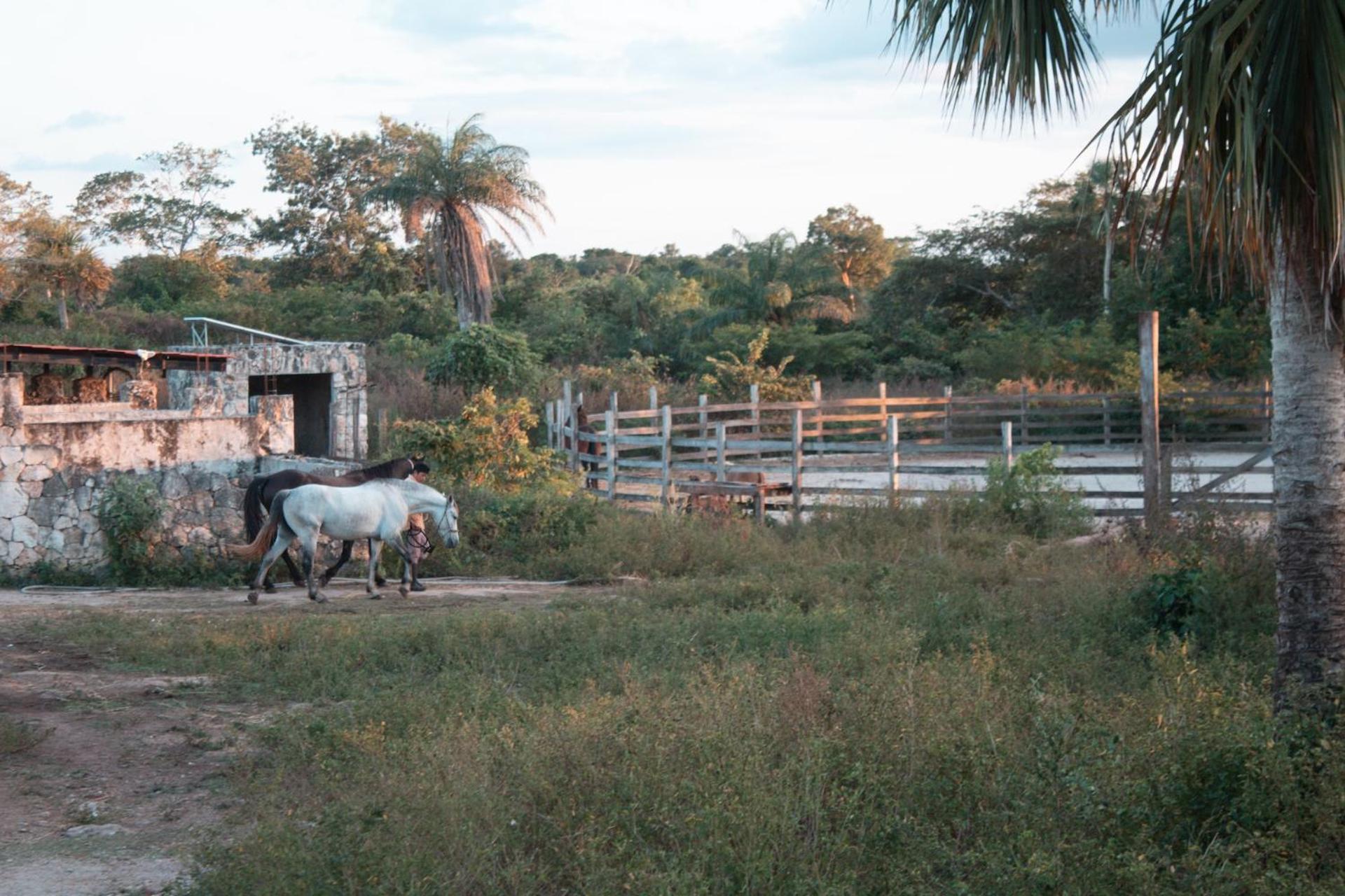 Villa Casitas At Rancho Kuxtal Tizimín Exterior foto